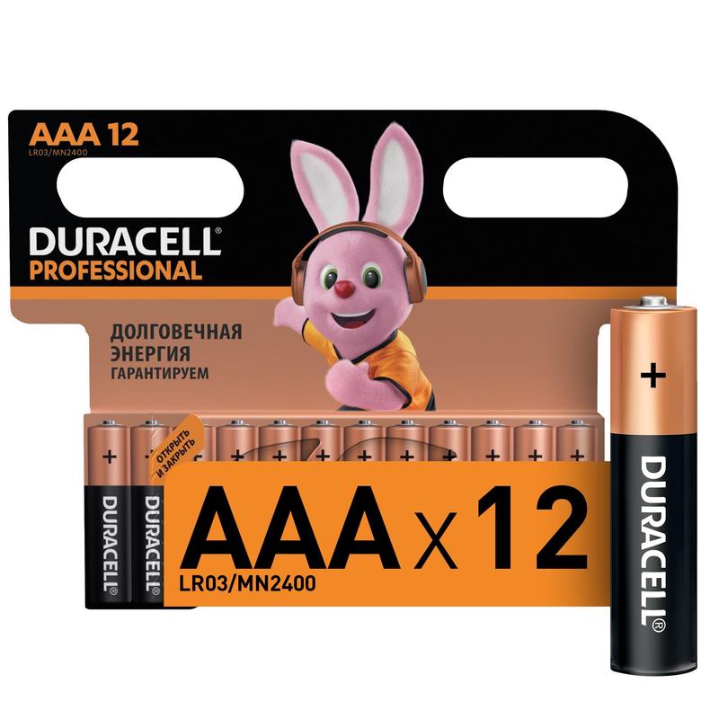 Батарейки DURACELL Professional ААА/LR03 бл/12шт 725029