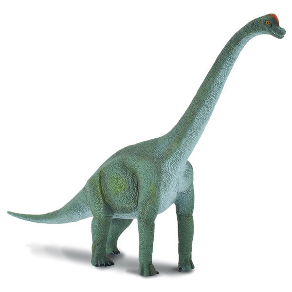 Collecta Брахиозавр, Большой (блист), L