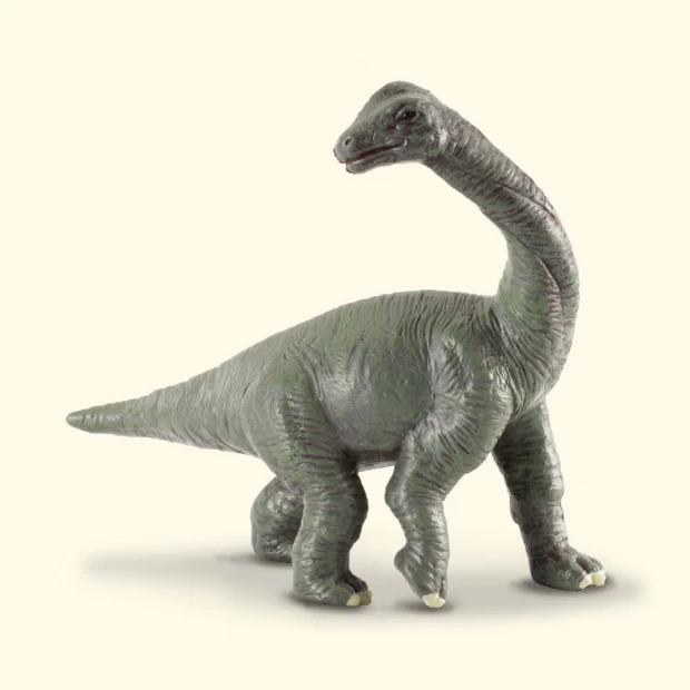 Фигурка динозавра Детёныш Брахиозавра фигурка динозавра детёныш тираннозавра зелёный 11 см