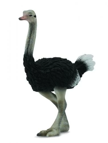 

Collecta Фигурка Страус L