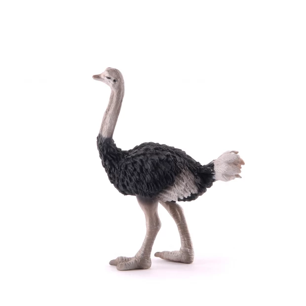 Фигурка Collecta Страус