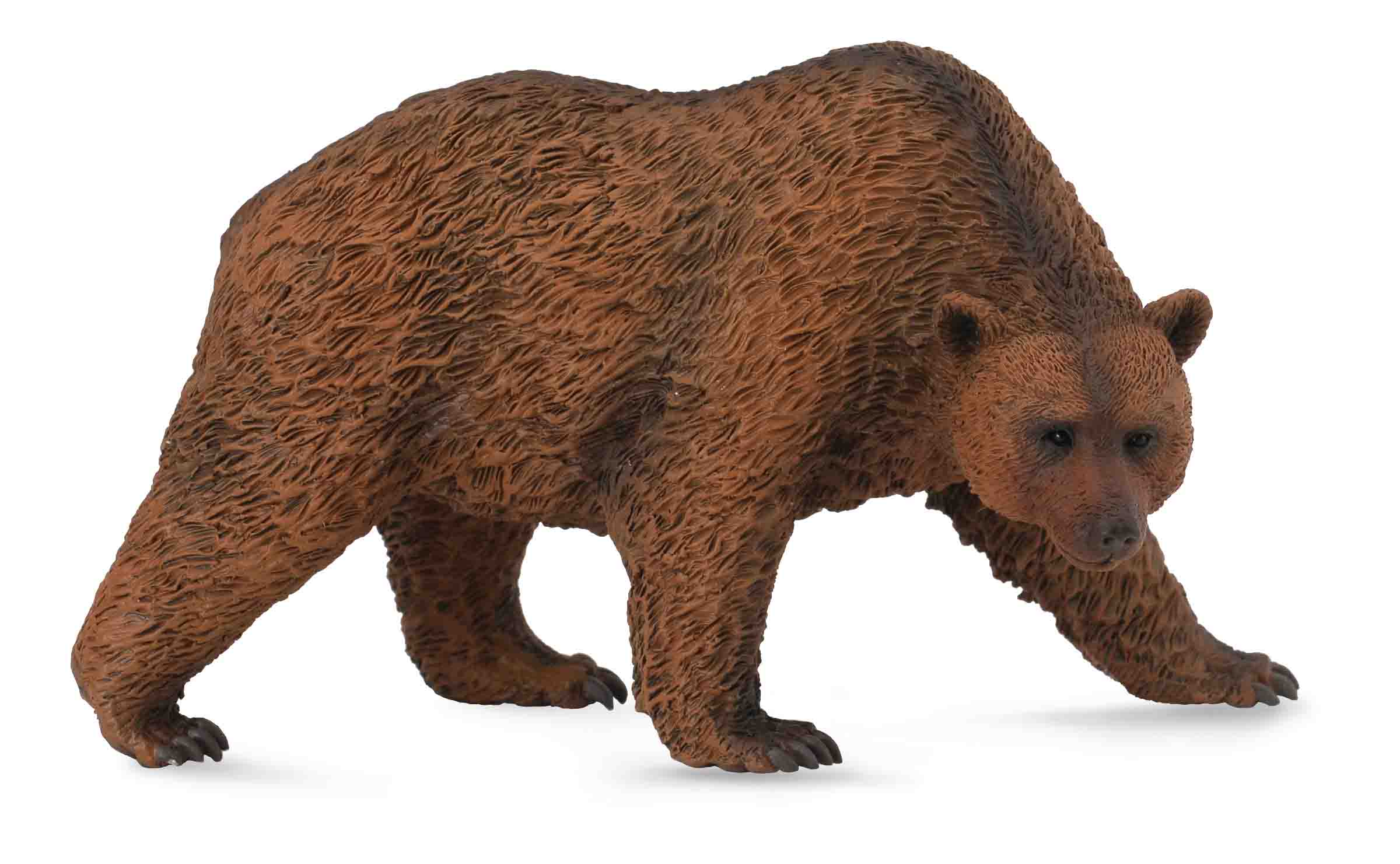 Collecta Фигурка Бурый медведь 88560b - фото 1