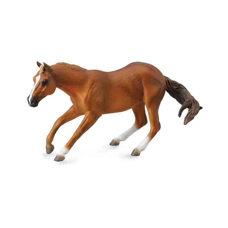 

Фигурка Collecta Динозавр Квартерхорс, 88585B