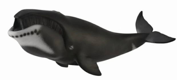 Фигурка животного Гренландский Кит фигурка морского животного collecta гренландский кит