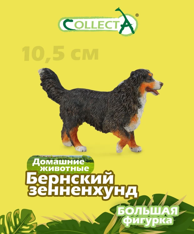 фото Фигурка животного собака бернский зенненхунд collecta