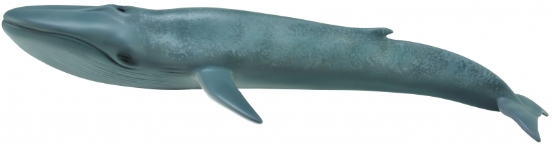

Collecta Голубой кит, 88834B