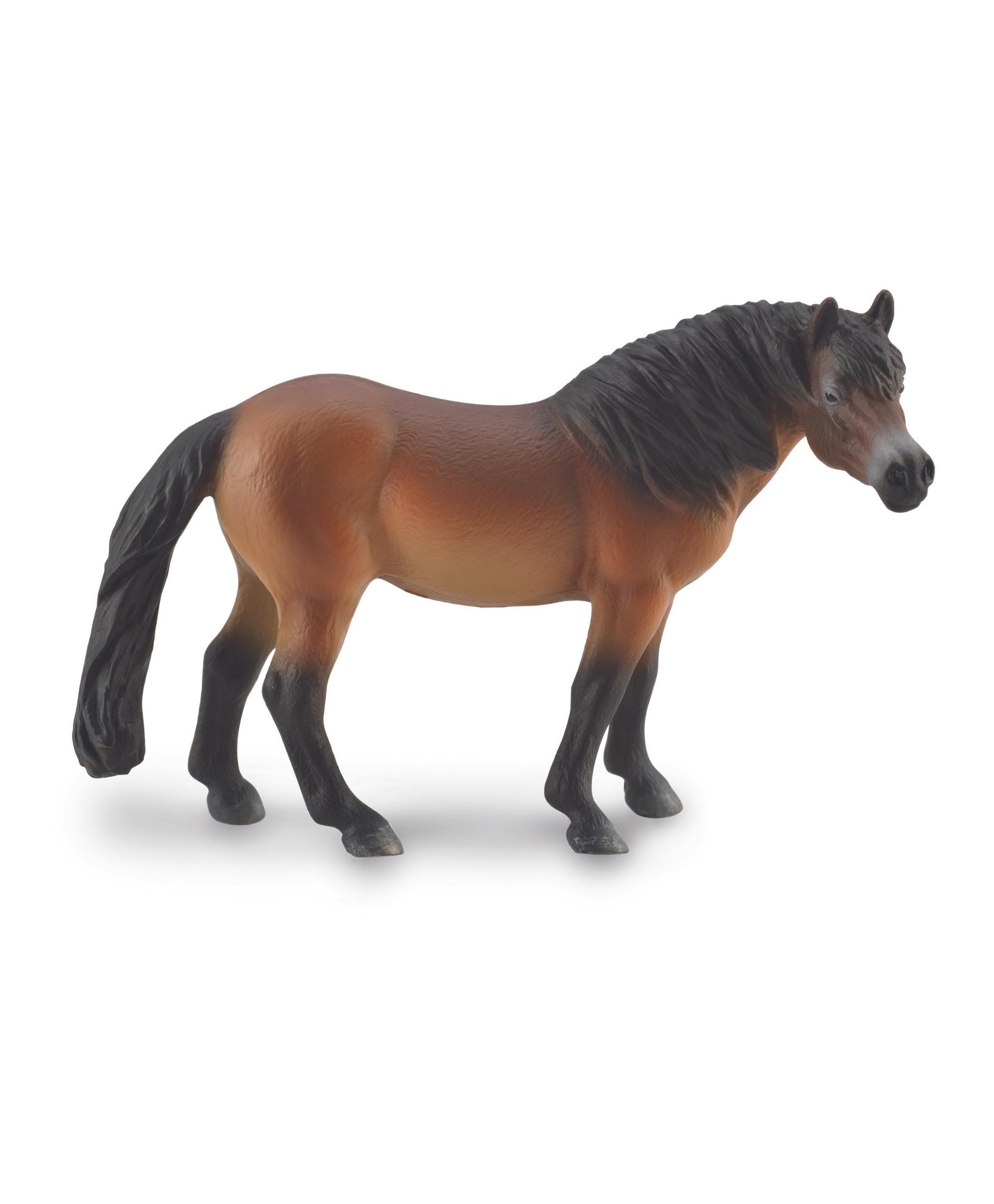 

Collecta Жеребец Эксмурский Пони L, 88873B