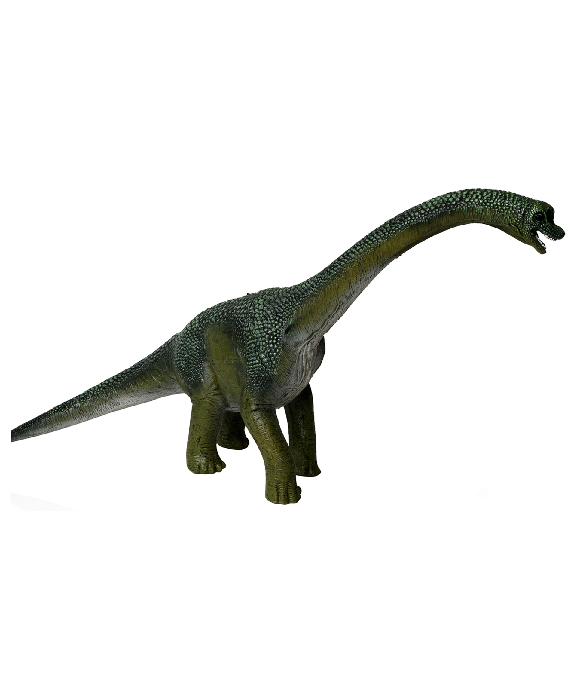 Фигурка Funky Toys Динозавр Брахиозавр темно-зеленый FT2204126 - фото 1